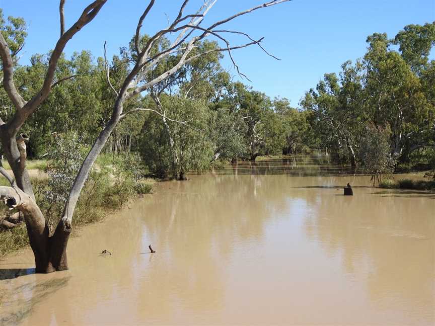 A UQld Thallon Moonie Riverinflooddownstream2021