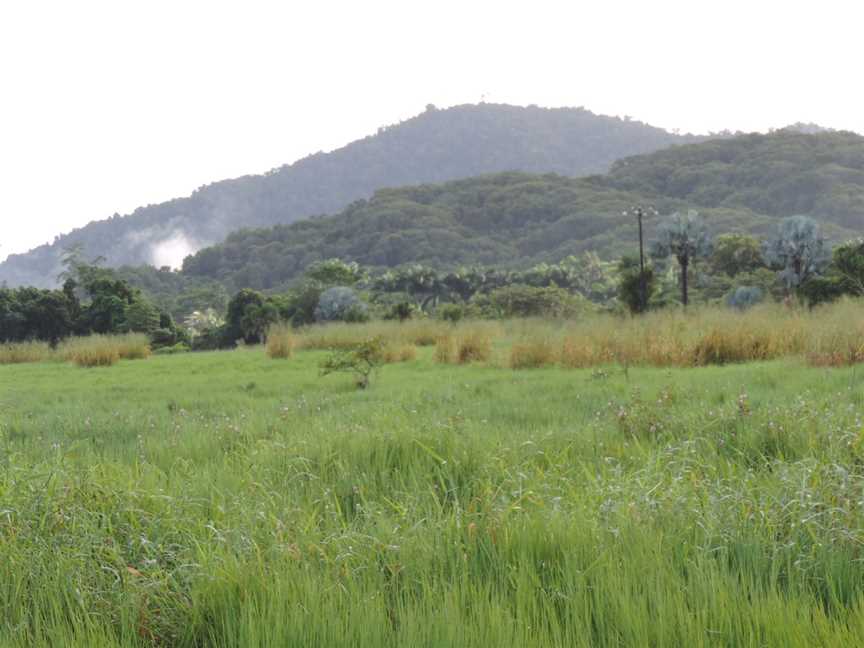 Looking north over fields from Cartwright Road, Eubenangee, 2018.jpg