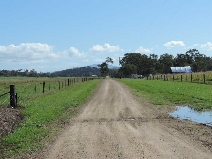 Looking west on Orphanage Road, on the boundary of Nindaroo (south & left) and Habana (north & right), 2016.jpg