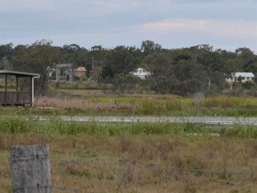 Stlawrencebirdwatching