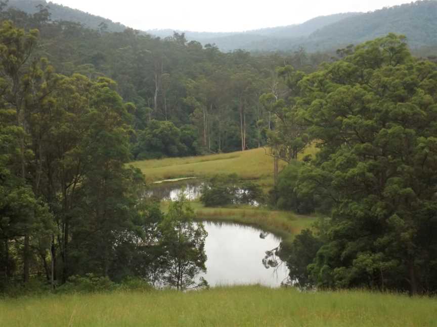 Damsalong Pocket Road CNuminbah Valley CQueensland