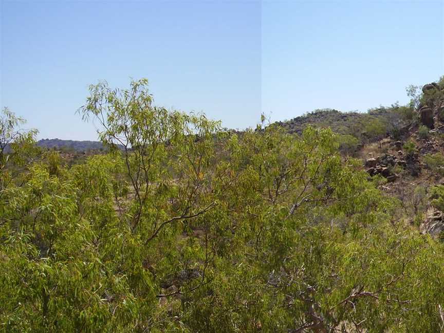 Elizabeth Creek Valleypanorama