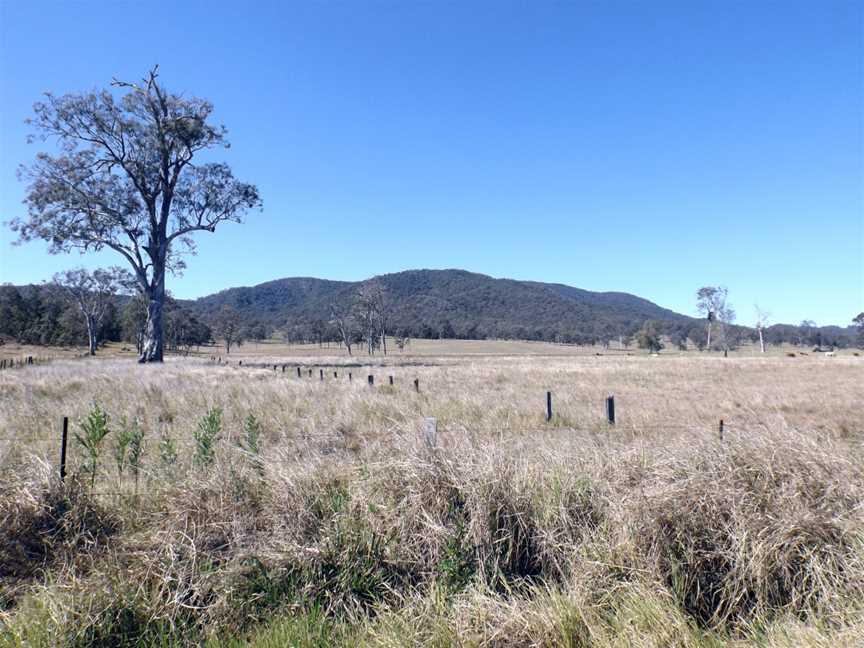 Paddocks Neurum Queensland.jpg