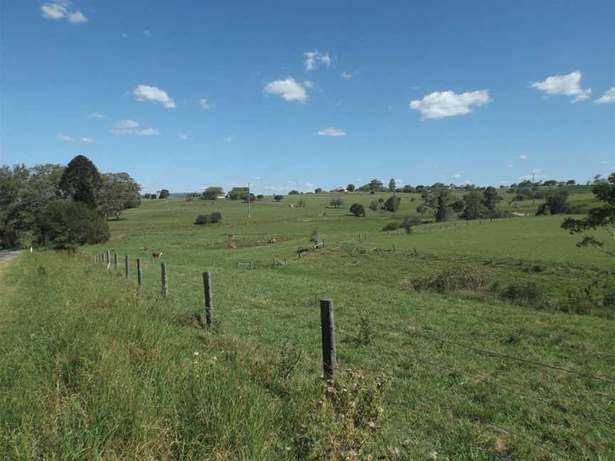 Paddocks along Kents Pocket Road at Templin Queensland.jpg