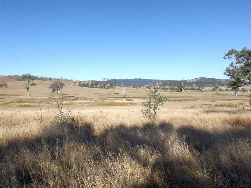 Paddocks Crossdale Queensland.jpg