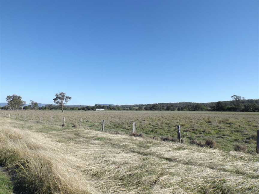 Paddocks at Tabooba 2.jpg