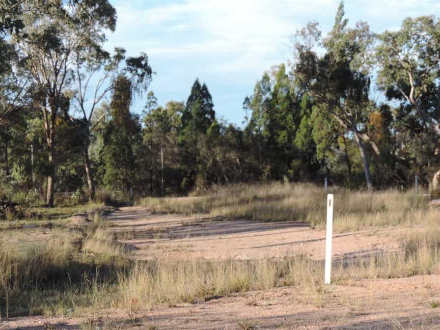 Landscape 2, Somme, Queensland, 2015.JPG