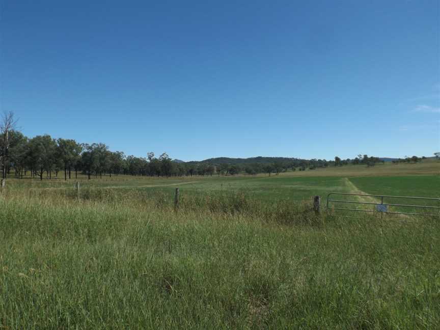 Fields along Mount Walker West Road Mount Walker West.jpg