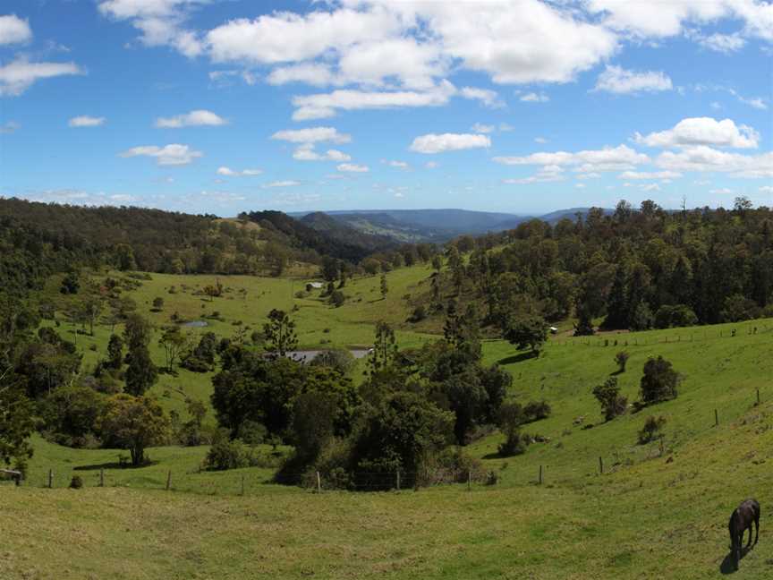 Green Mountain Scenic View, Lamington National Park QLD Dec 2013.jpg