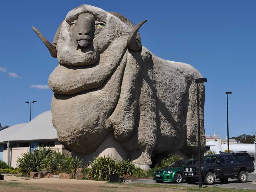 Big Merino Goulburn2011