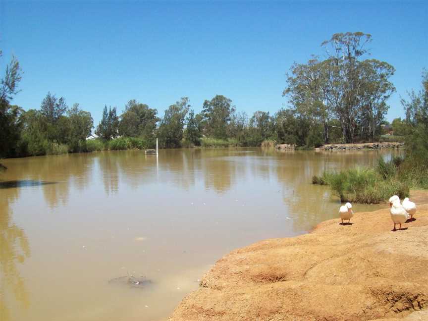 Plumpton lake.jpg