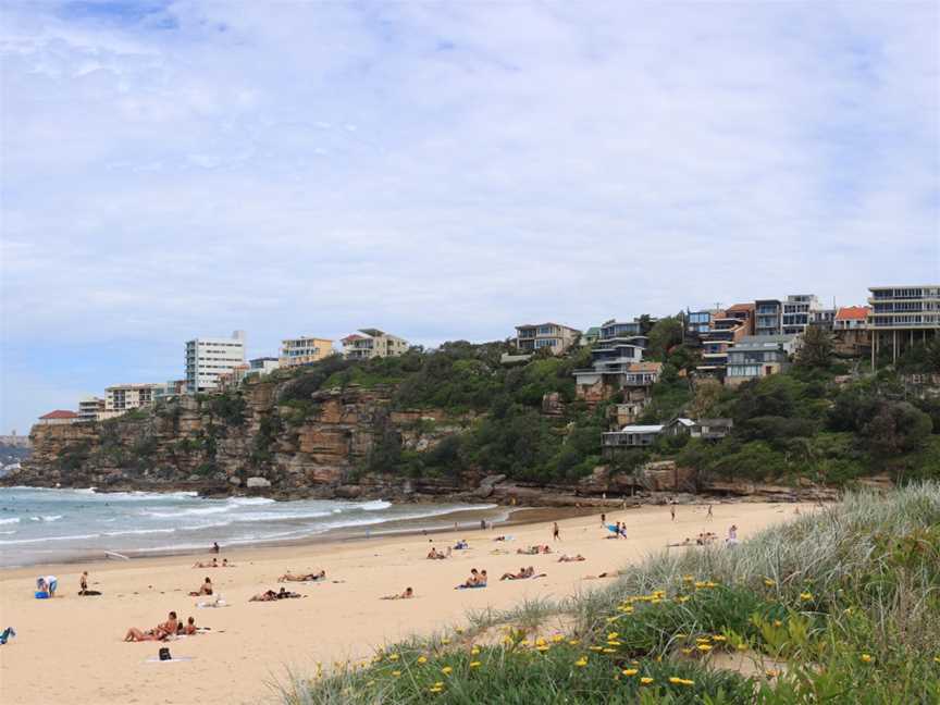 Freshwaterbeach pittwater council.jpg