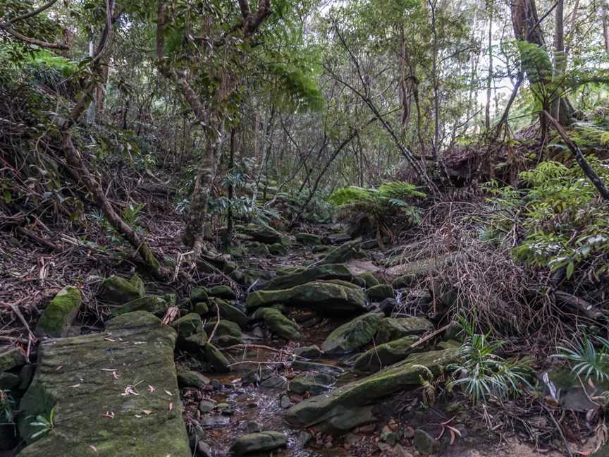 Coonong Creek Bushland Reserve Gymea Bay