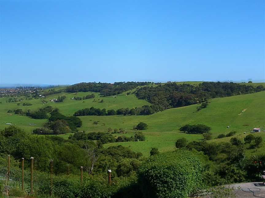 E940 PGerringong Rose Valley