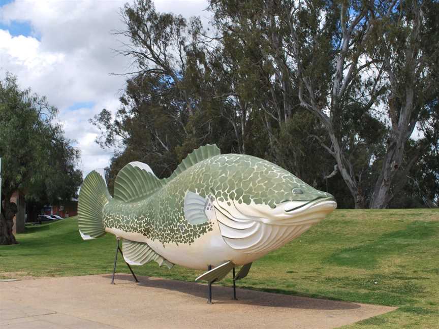 Tocumwal Big Cod