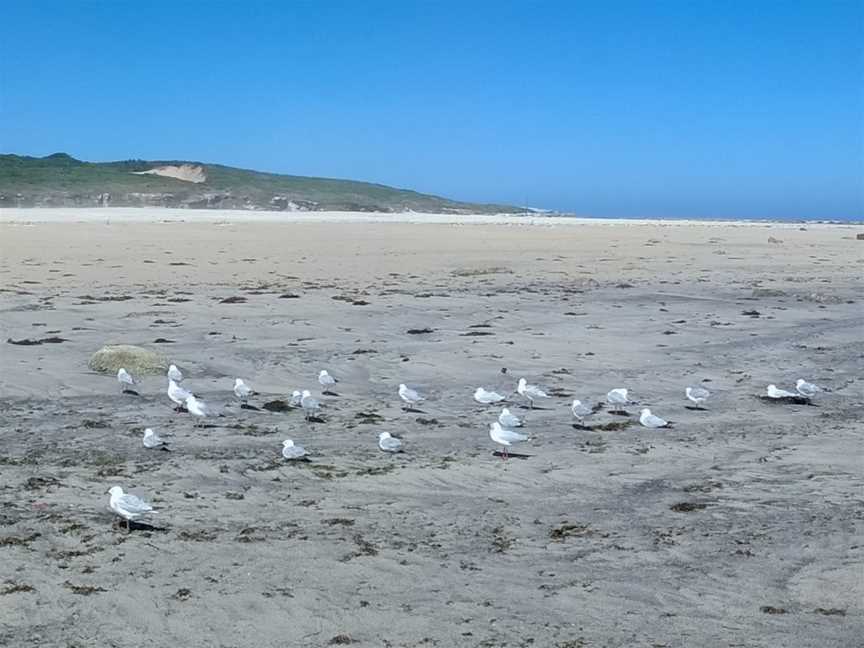 Kurnell Panorama