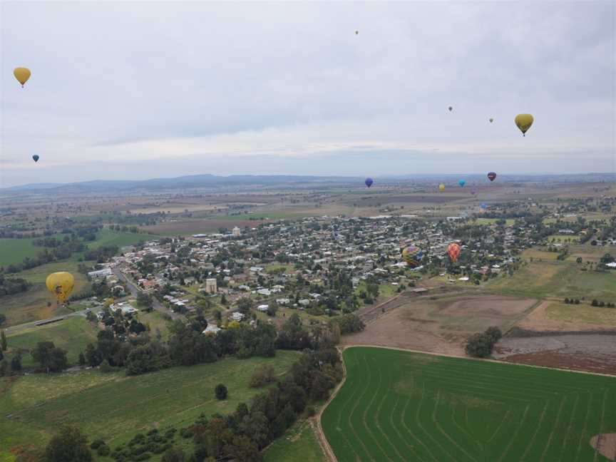 Balloons Over Canowindra