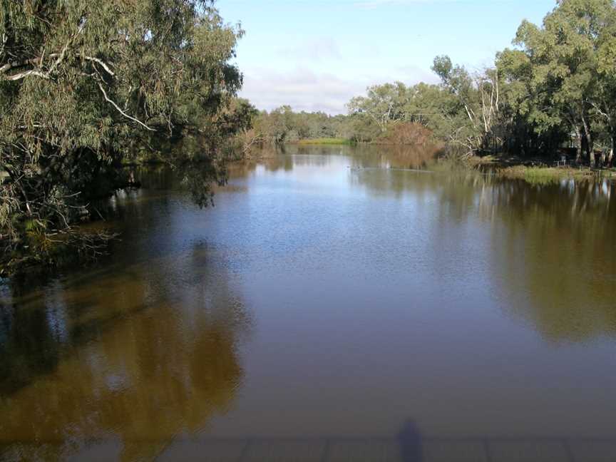 Bogan River Nyngan