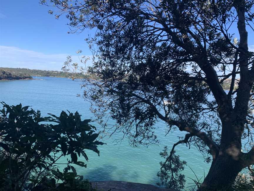 Clontarf Beach from the Spit to Manly Walk.jpg