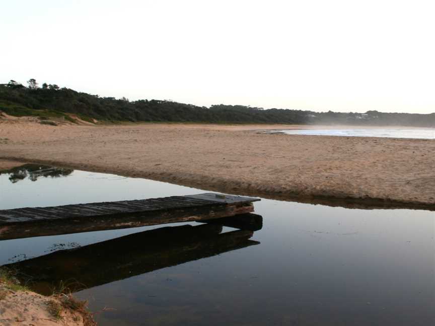 Black Head Beach - panoramio.jpg