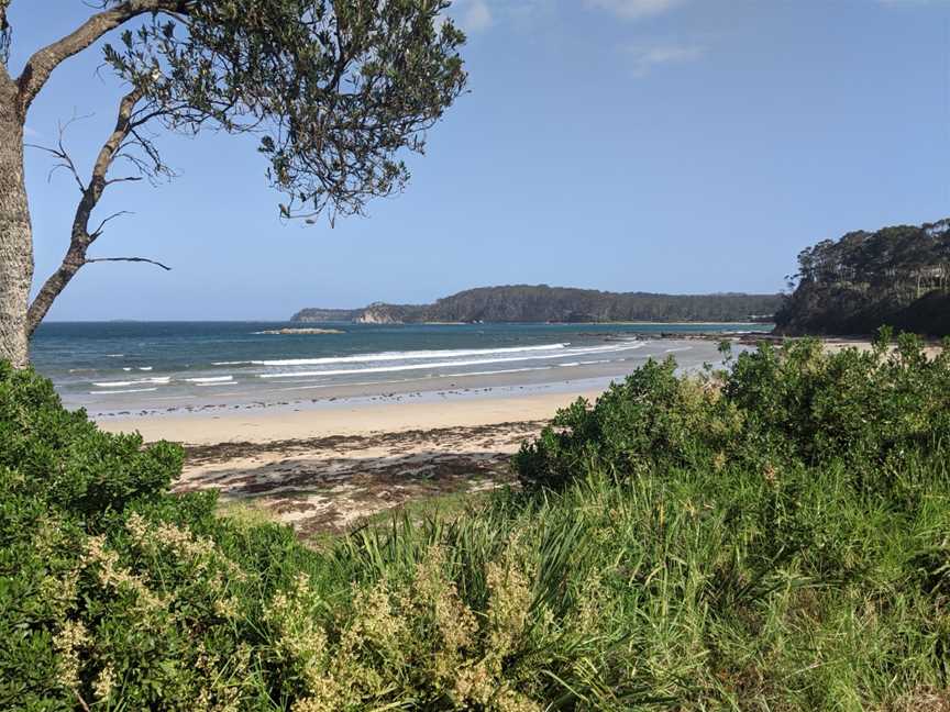 Denhams Beach, New South Wales, 2020.jpg