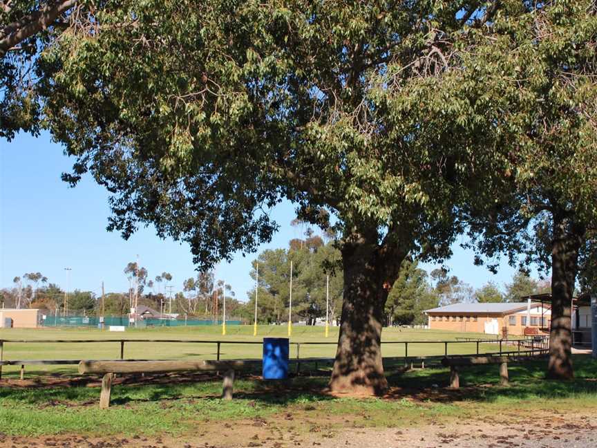 Oaklands Football Ground1