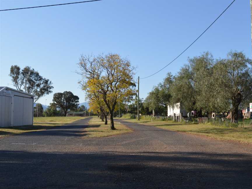 Albert Street, Parkville 001.jpg