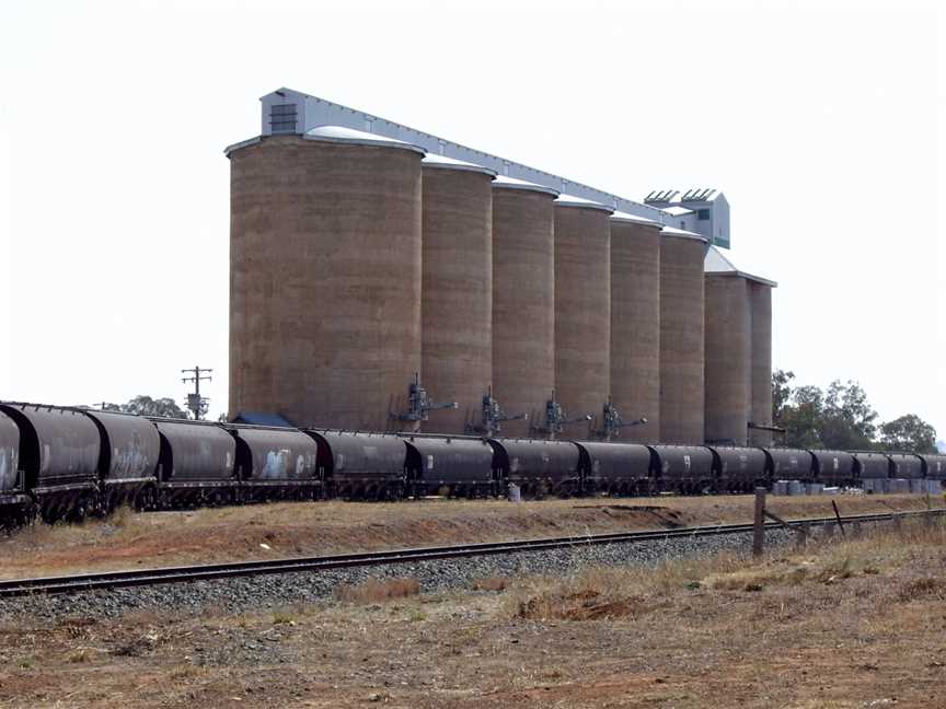 Old Junee Silos