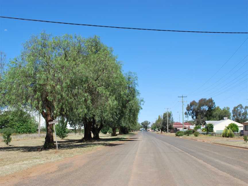 Tullibigeal Cargelligo Street 002.JPG