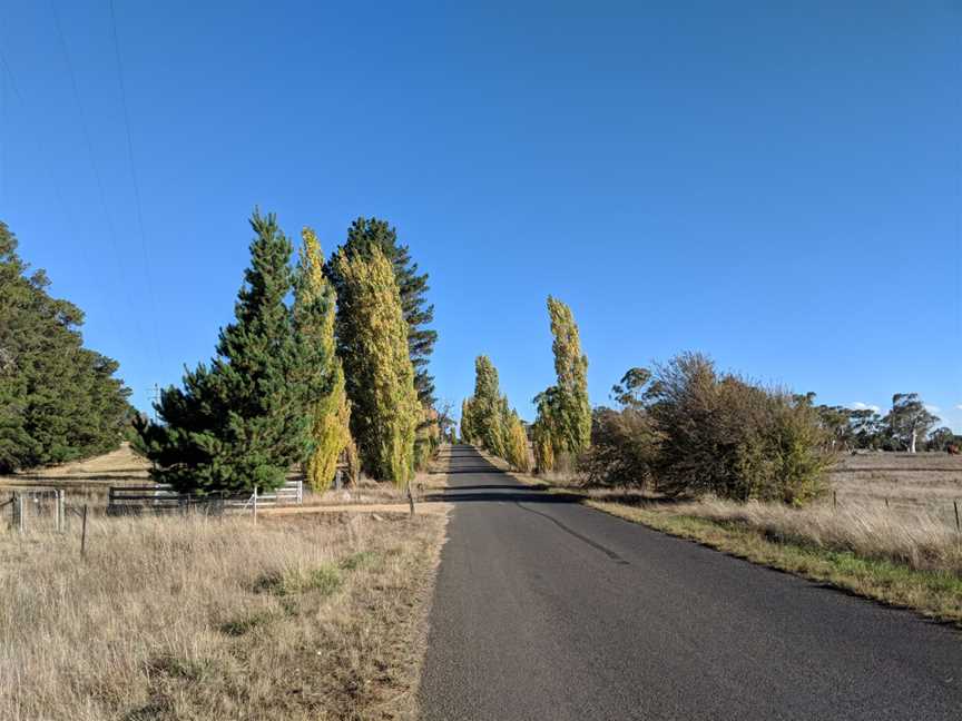 Dairymans Plains, New South Wales.jpg