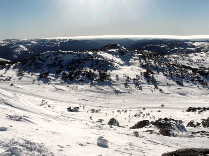 Perisherand Blue Cow CBack Mt Perisher CJuly2012