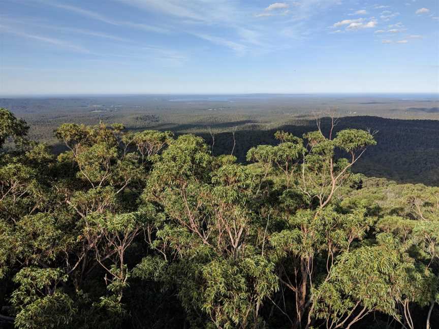 Sussex Inlet from Jerrawangala lookout.jpg