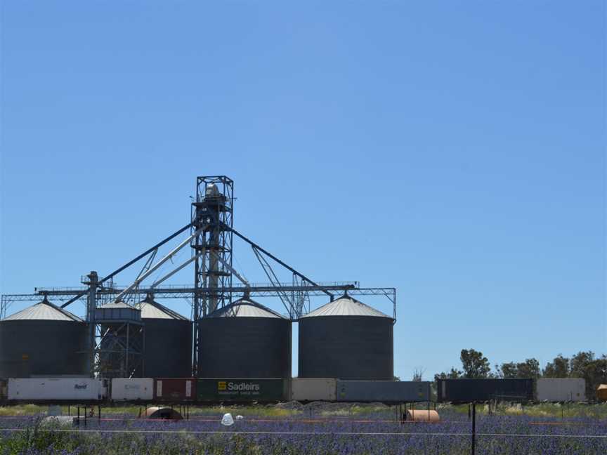 Euabalong West Grain Elevators