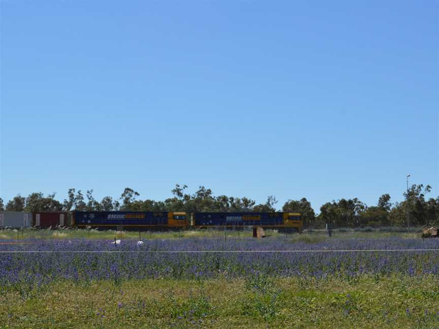 Euabalong West Train001