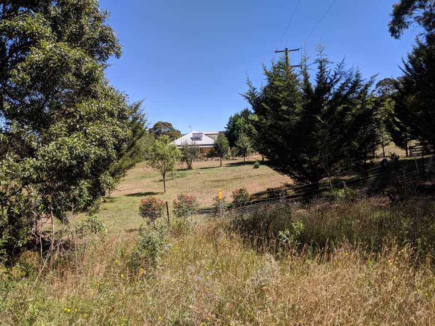 House in Harolds Cross, New South Wales.jpg