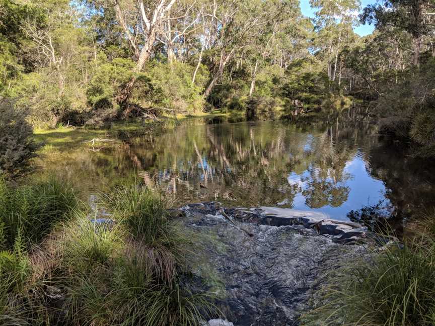 Mongarlowe river at Northangera.jpg