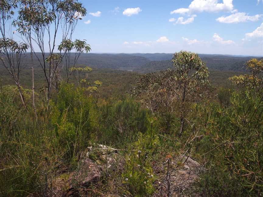 Mooney Mooney creek from Scopas Peak - panoramio.jpg