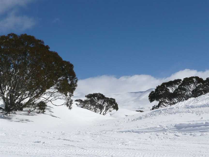 Charlotte Pass Cwinterview