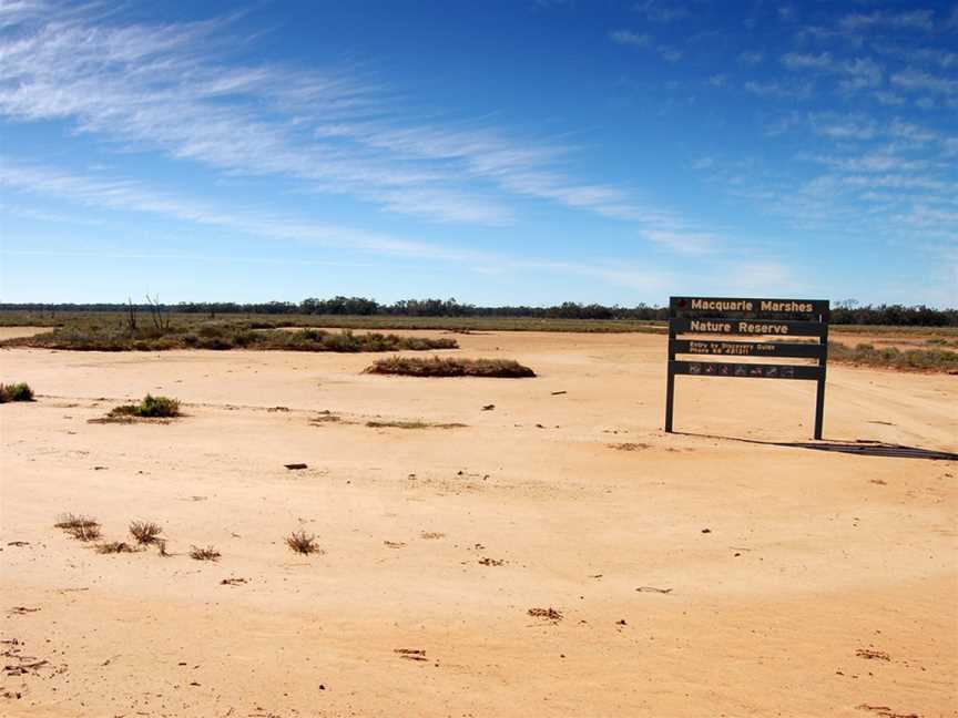 Macquarie Marsheserosion July2008