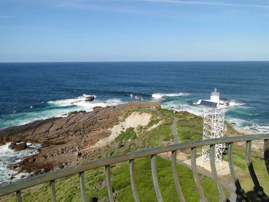 Green Capeheadland