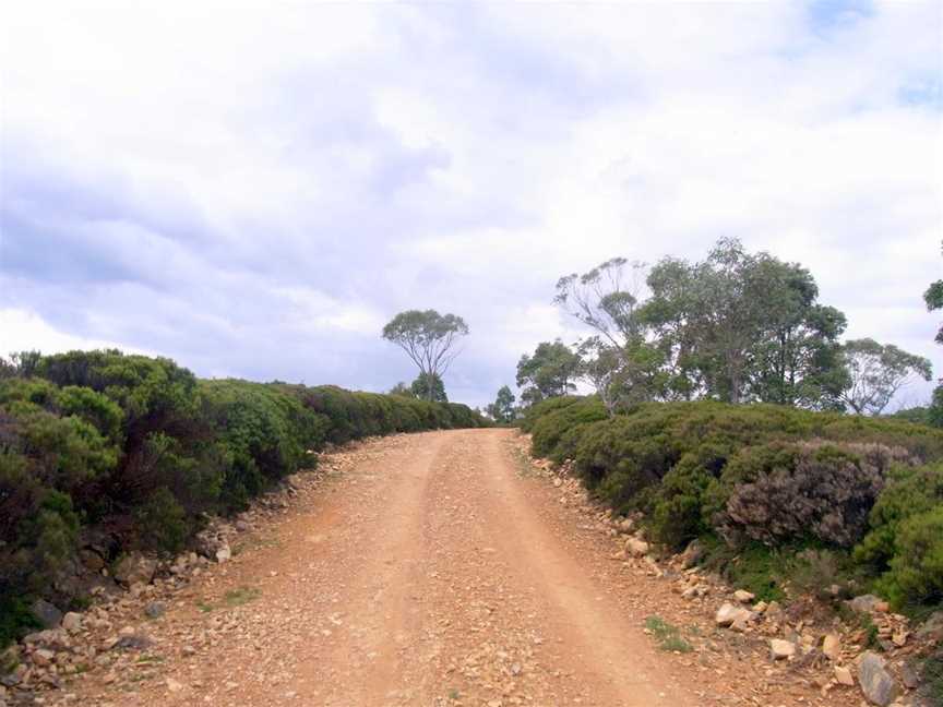 Wadbilliga2heathland