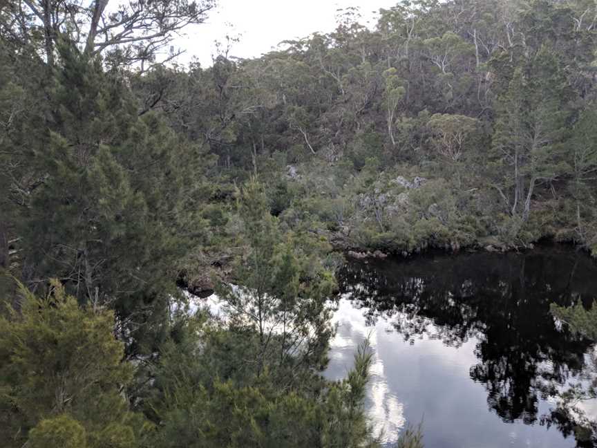 Endrick river at Nerriga Road bridge looking north.jpg