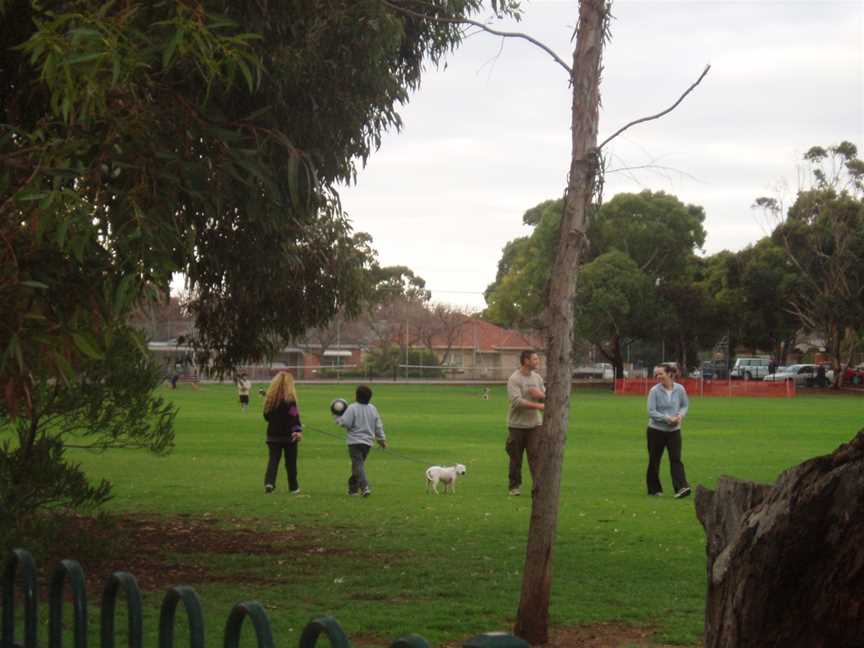 Dog Park Glengowrie.jpg