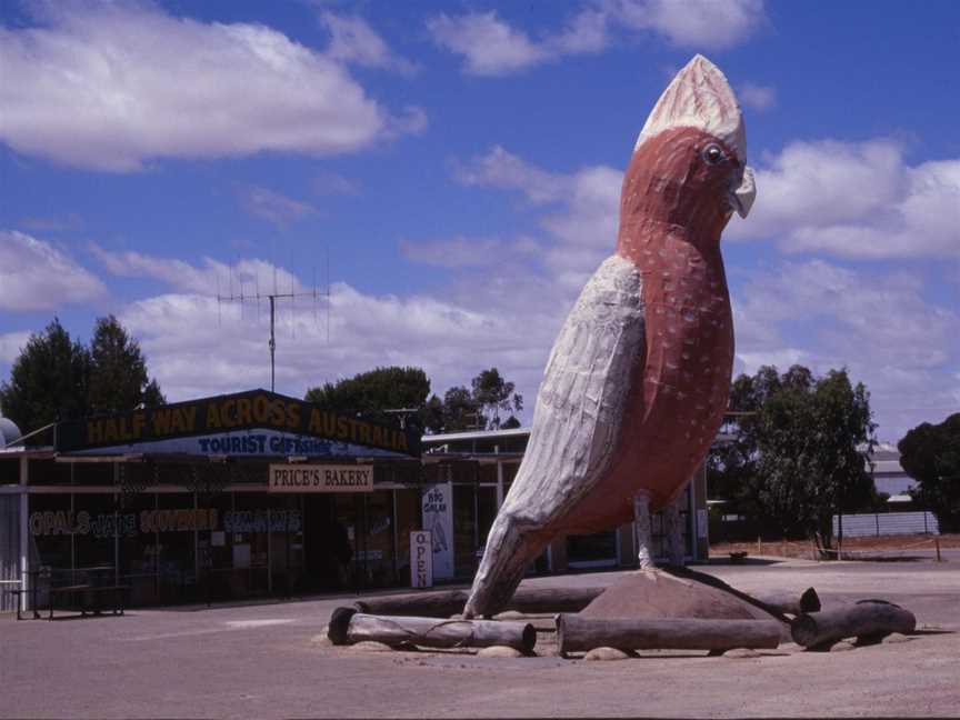 Big Galah Kimba.jpg