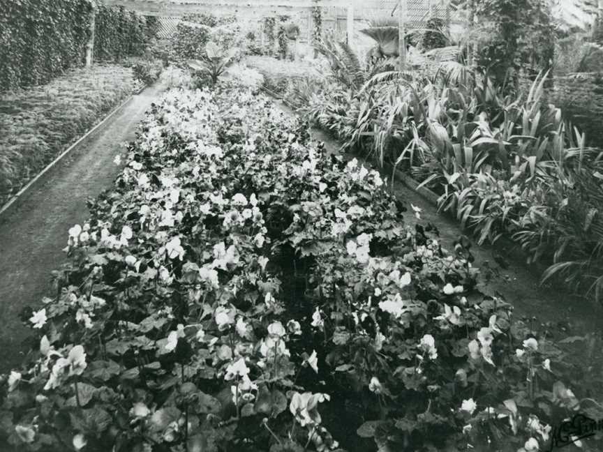 Hackett's Nurseryshadehouse SL SA B17464