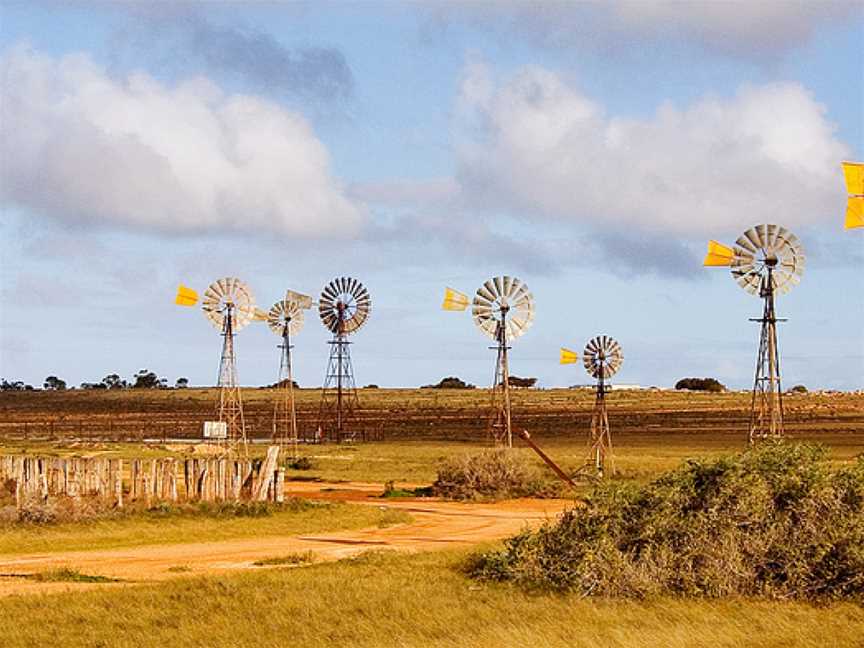 Penong windmills.jpg