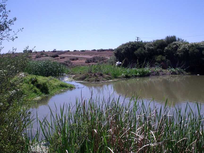 Drycreekwetlands.png