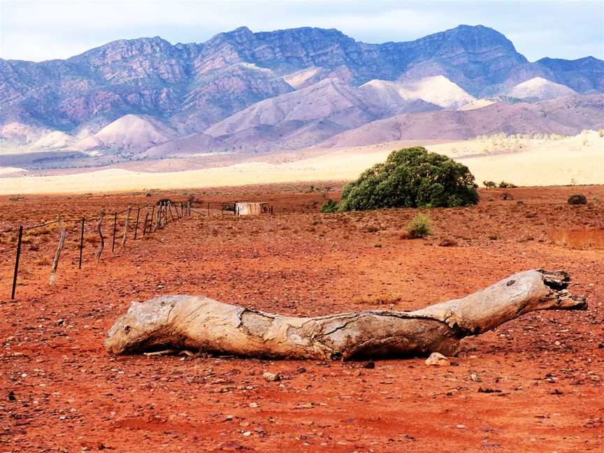 Ikara-Flinders Ranges National Park 04.jpg