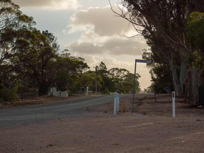 Pinery South Australia.jpg