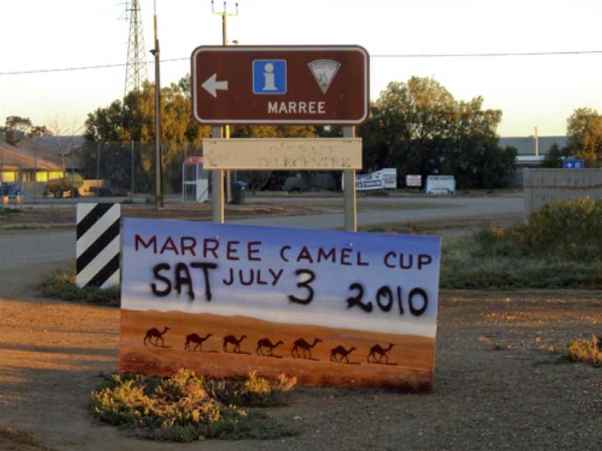 Camel Cup